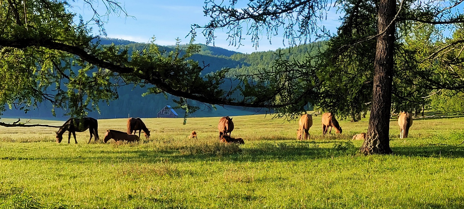 Photos from our Mongolia Bulgan Cycling Holiday